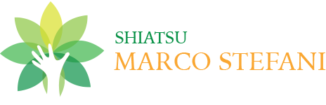 MarcoStefani_logo-retina_01